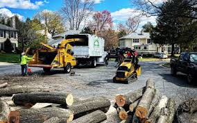 Best Sod Installation  in Montpelier, OH